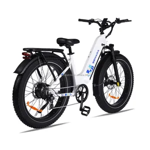 US Warehouse Only 20 Inch Foldable Ebike E-Assist Bike OEM Manufacturer