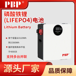Batterie de stockage d'énergie solaire LiFePO4 PBP à montage mural 25,6 V 200 Ah pour systèmes solaires - Product Image 5