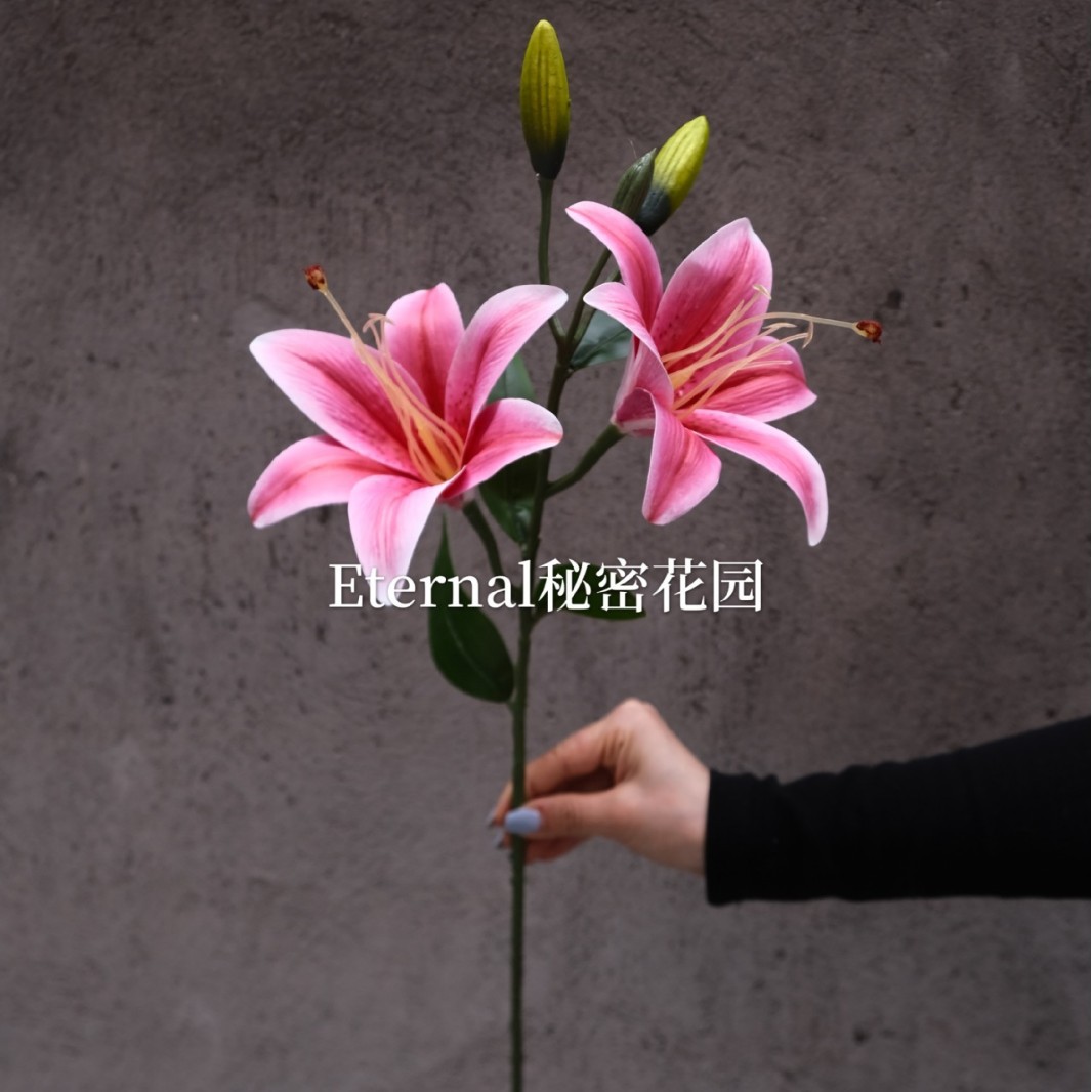 Lys à deux têtes