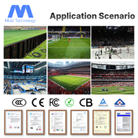 Pantalla LED para Estadios Deportivos MIDA P5 P6.25 P8.33 P10, Pantalla LED Perimetral para Publicidad de Fútbol, Panel LED de 1600*900 mm, Paneles Publicitarios
