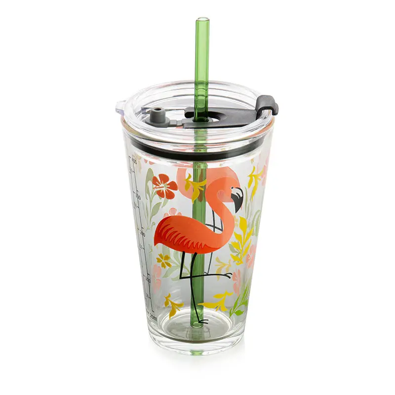 Lekvrij 15Oz Bpa-vrij Herbruikbare Transparant Glas Water Fles Thee Mok Sap Melk Cup Met Stro Deksel