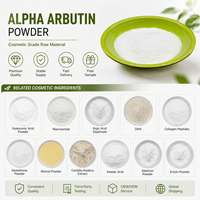 Poudre d'Alpha Arbutine en Gros, Matière Première Cosmétique, Blanchiment de la Peau, Extrait d'Alpha Arbutine en Vrac à 99%