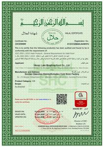 Dessert surgelé en gros, crème glacée exotique, saveur mangue, crème glacée à la mangue, 75g, OEM/ODM disponible - Product Image 4