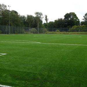 Pavés en caoutchouc de <span class=keywords><strong>gazon</strong></span> <span class=keywords><strong>artificiel</strong></span> 4m x 5m avec <span class=keywords><strong>gazon</strong></span> <span class=keywords><strong>artificiel</strong></span> - Product Image 6