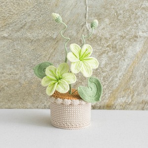 Adornos de flores simuladas personalizados, regalos de flores de aceite de tung tejidas, productos en maceta, ramos de flores en maceta hechos a mano con hilo de tejer. - Product Image 3