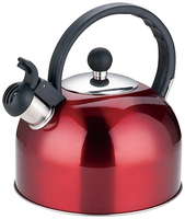 2.5L usage domestique en acier inoxydable sifflement thé bouilloire bakélite poignée Induction fond résistant à la chaleur métal plastique verre matériel 3L