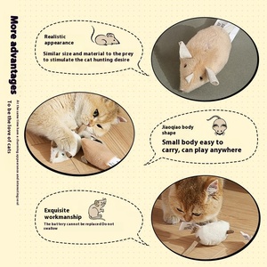 Juguete para gatos con control remoto al por mayor de fábrica, juguete para gatos en movimiento recargable, juguetes interactivos para gatos - Product Image 6
