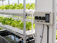 Contrôleur de fertigation intelligent Aurlgrow, système de dosage automatique d'engrais, contrôle du pH et de l'EC pour l'agriculture hydroponique en serre