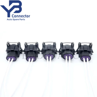 Conector YB 12110179 de 2 Pines, Arnés de Cables Eléctrico a Prueba de Agua, Conector de Inyector de Combustible para Delphi Packard