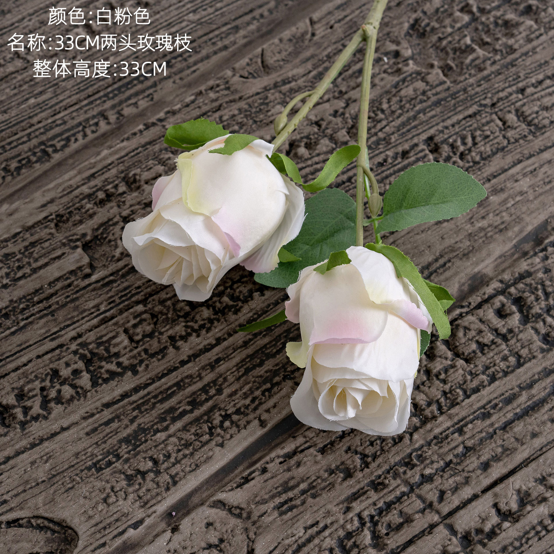 Rose blanc