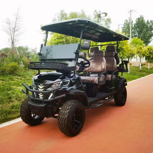 Voiturette de golf électrique neuve, modèle autrichien, fabriquée en Autriche, excellent rapport qualité-prix, en promotion, pour usage hors route public. - Product Image 1