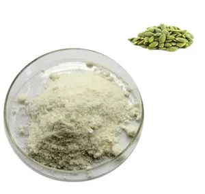 Polvo de proteína de semilla de calabaza orgánico, suministro de fábrica