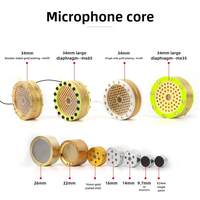 Microphone à condensateur de studio d'enregistrement à capsule à grand diaphragme dorée de 34 mm à faire soi-même