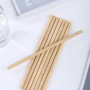 Free Sample Biodegradable Bamboo Drinking Straws Natural Plant Bamboo Disposable Straws