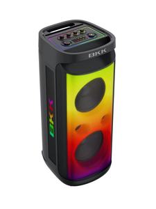 Oem biểu tượng tùy chỉnh Mega Đảng loa kép 12 inch woofer không dây chất lượng cao Đảng loa cho ngoài trời (XC 1205b) - Product Image 5