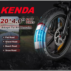 Vélo électrique tout-terrain à suspension intégrale 48V 17Ah 1200W à moteur brushless haute vitesse avec pneus larges, faible MOQ, modèle RS-A02 Plus Fat - Product Image 4