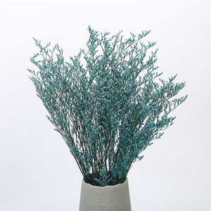 Suspension de fleurs séchées pour carte de remise de diplôme, accessoires de décor, cadeau naturel en lycra, statue préservée, herbe des amoureux, démodis <span class=keywords><strong>gyrans</strong></span> - Product Image 5