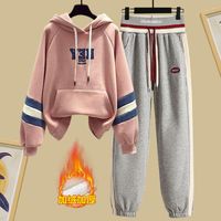 Ensemble deux pièces chaud et imperméable en peluche unie avec capuche pour femme, comprenant un pull brodé et un pantalon sarouel décontracté, idéal pour l'hiver.