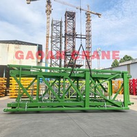 Grúa Torre, Grúa de Pluma, Grúa de Plataforma QTZ80(P6012) Carga Máxima 6t Carga en Punta 1t Longitud de Pluma 60m para Construcción de Edificios