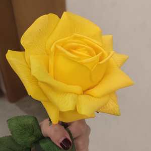 Commercio all'ingrosso di alta qualità reale tocco artificiale polveroso <span class=keywords><strong>rosa</strong></span> Rose in lattice di caffè, vero tocco idratante <span class=keywords><strong>rosa</strong></span> fiori artificiali - Product Image 5