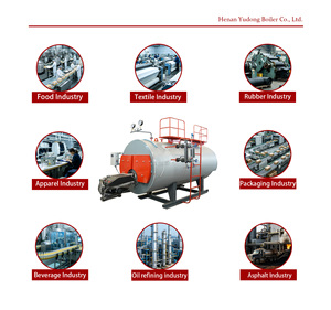 Chaudière industrielle à gaz naturel, diesel et vapeur, à faibles émissions de NOx, pour usine de teinture textile, produits laitiers, biotechnologie - Product Image 2