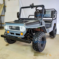 Mini Jeep Électrique 150CC pour Enfants et Adultes, Buggy, Karting, Jeep Willys à Vendre, Buggy Mini WillysJeep
