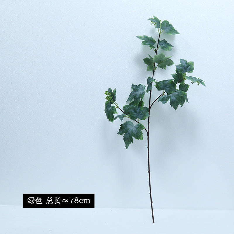 Branche unique, 1 vert