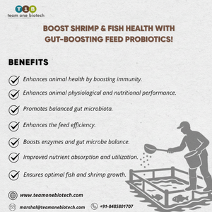 Suplemento probiótico de crecimiento acuático óptimo que fomenta el equilibrio bacteriano y la salud en peces y vida acuática - Product Image 1
