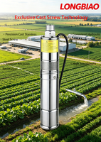 Pompe à eau solaire hors réseau LONGBIAO 3YYS DC 72V à haute pression, pompe à vis en fonte améliorée pour puits profonds, pour zones isolées, avec relance automatique