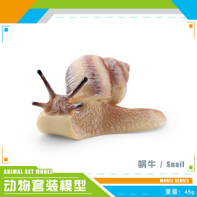 escargot coloré PL127-1667 45g