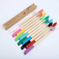 Brosse à dents en bambou biodégradable de bonne qualité Brosses à dents en bambou naturel avec poils d'huile de ricin