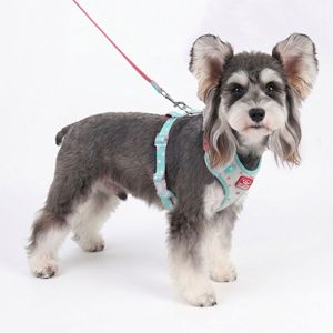 Harnais pour animaux de compagnie pour petits chiens - Harnais anti-évasion pour la promenade en extérieur - Product Image 4