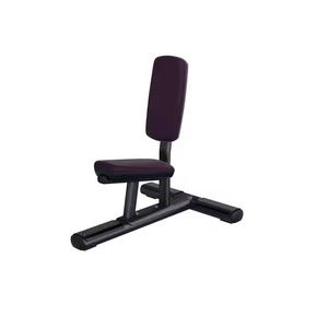 Ticari spor Fitness ekipmanı mukavemet eğitimi yeni tasarım yardımcı tezgah - Product Image 3