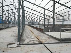 Automatización sistema de cría automatizado estructura de acero vaca cerdo <span class=keywords><strong>pollo</strong></span> caballo cabra cobertizo granja granero avicultura estable - Product Image 6