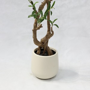 Plante artificielle verte en pot pour sol, ornement d'intérieur, olivier populaire pour la décoration de magasin, combinaison d'oliviers artificiels - Product Image 5
