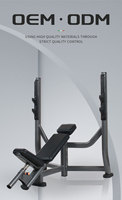 Banc de musculation stable inclinable et déclinable pour entraînement rapide et renforcement musculaire, idéal pour les sit-ups