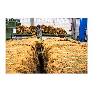 Fibre de coco naturelle de qualité supérieure HOT Blue Lotus, matière première écologique, substrat de culture Ben Tre pour usage horticole, fibre personnalisée - Product Image 1