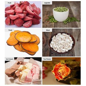 Máquina para Hacer Premios para Mascotas, Secadora por Congelación, Crea Refrigerios Naturales y Saludables para Perros, Gatos y Mascotas, Dieta de Carne Cruda, Sin Conservantes - Product Image 6