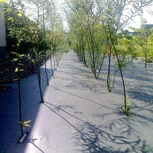 Toile géotextile industrielle en PP non tissé anti-âge, idéale <span class=keywords><strong>pour</strong></span> les allées gravillonnées - Product Image 6