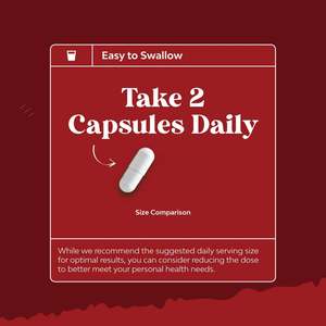 Extrait de CoQ10 de haute qualité, complexe avancé pour soutenir la fonction cardiaque saine, capsules de CoQ10 pour hommes et femmes - Product Image 6