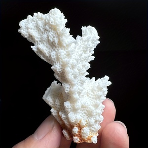 Pierre de Coralline CrystalHola en Gros, Spécimen de Pierre Cristalline en Forme de Fleur 3-15cm, Tendance Mode pour Souvenirs Feng Shui et Cadeaux de Remise de Diplôme - Product Image 6