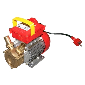 Rover <b>Transfer</b> <b>Pump</b> 1 Hp 650 W 30mm Inlet For Pool <b>Water</b> Circulation - Product Image 1