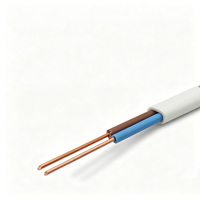 PVC-Flachkabel 300/500V, Blankkupferleiter, 2-3 Adern 0,75-16mm², für Beleuchtung & Stromverteilung, IEC/CCC-Zertifiziert