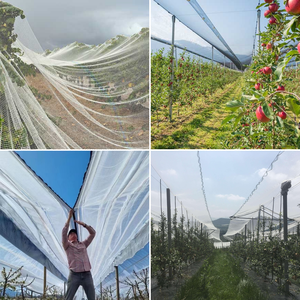 <span class=keywords><strong>Filet</strong></span> de protection contre la grêle en monofilament transparent, <span class=keywords><strong>filet</strong></span> anti-grêle/anti-oiseaux personnalisé pour les vignobles, l'agriculture et le jardin - Product Image 6