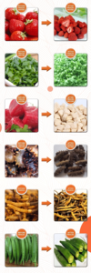 Sécheur <span class=keywords><strong>par</strong></span> congélation sous vide entièrement automatique pour fruits et légumes avec fonctionnement à un clic et économie d'énergie - Product Image 6