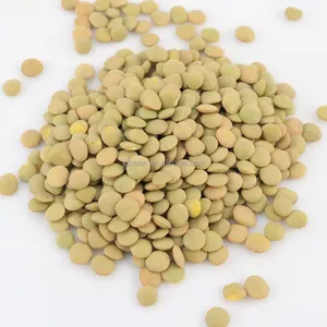 优质新作物干绿扁豆价格
