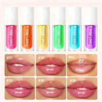 Huile à lèvres repulpante végane à base de produits chimiques, changeant de couleur, format voyage, waterproof, non collante, plusieurs couleurs, certifiée CE