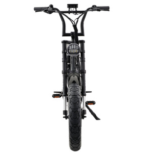 Potente Bicicleta Eléctrica con Marco Bajo de 750W-1500W, 8 Velocidades, EMTB Híbrida, Cuadro de Aluminio, Nuevo Diseño B-Long - Product Image 5