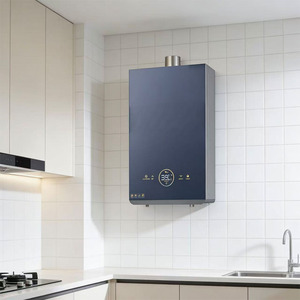 Chauffe-eau à <span class=keywords><strong>gaz</strong></span> à température constante en acier inoxydable et cuivre, <span class=keywords><strong>prix</strong></span> de gros, pour salle de bain, cuisine, lavage, usage domestique extérieur - Product Image 3