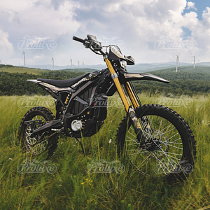Motocicleta Eléctrica Todoterreno de Alta Potencia, 21KW, Último Modelo 2025, Ultra Bee, en la UE - Product Image 2